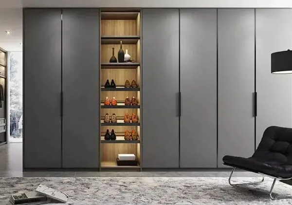 什么樣的衣柜最實用(現在的衣柜是什么樣的)