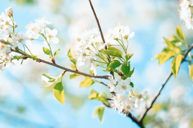 對于墻面裝修，你了解多少呢？